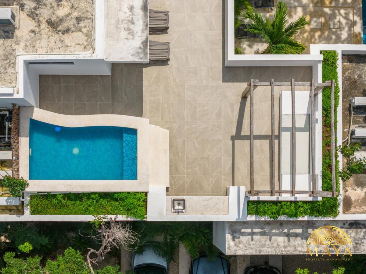 Selvaterra 201 Lux 2br Large In Aldea Zama *