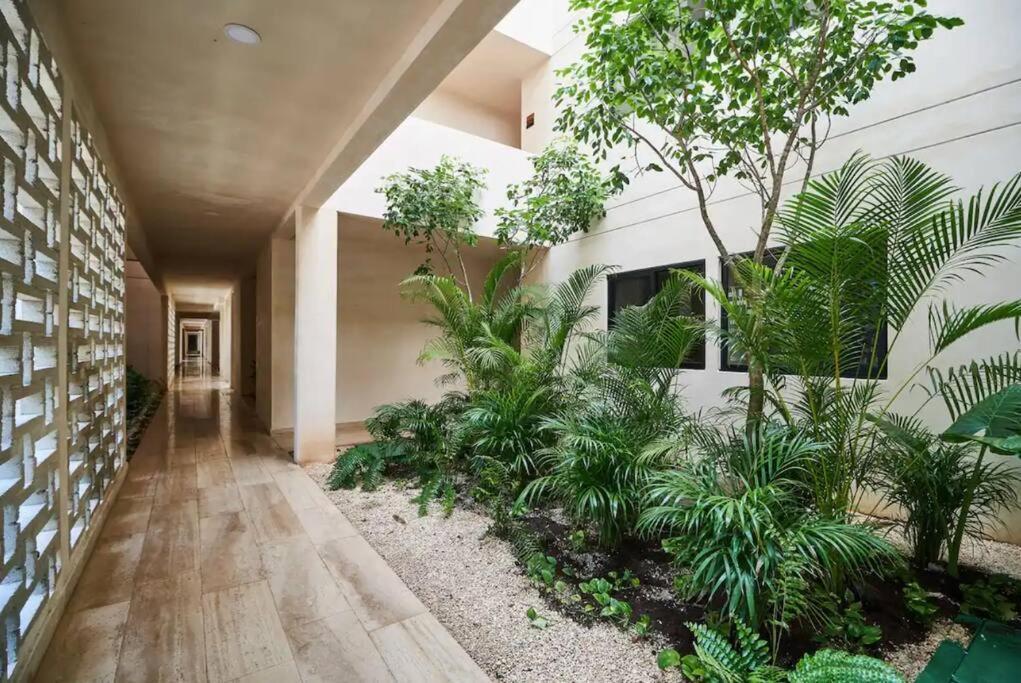 2 Bedroom W/amazing Rooftop & Jungle Views Apartment