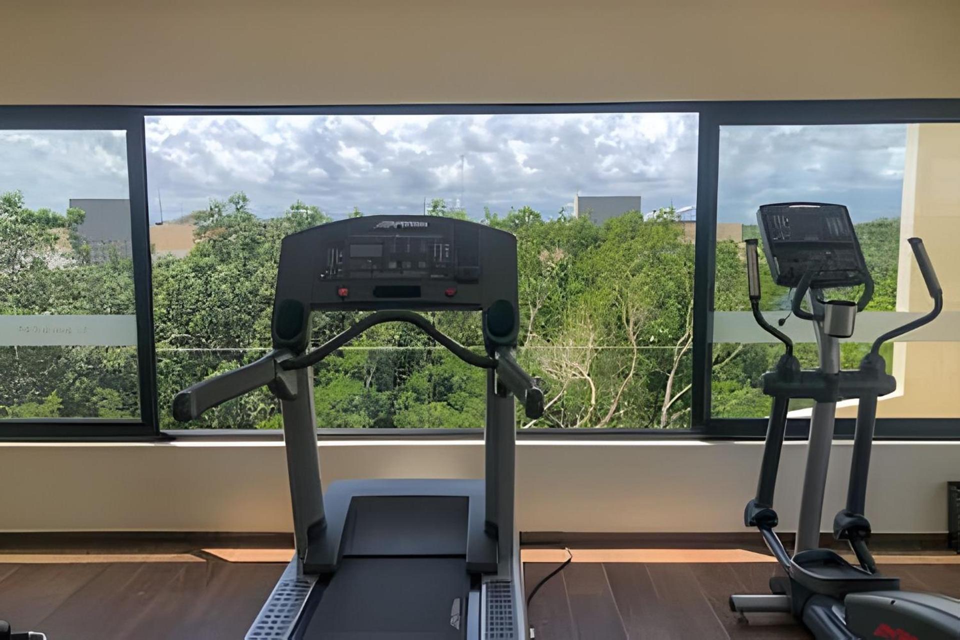 Loft Increíble King Size Alberca Infinita,gym En Medio De La Selva
