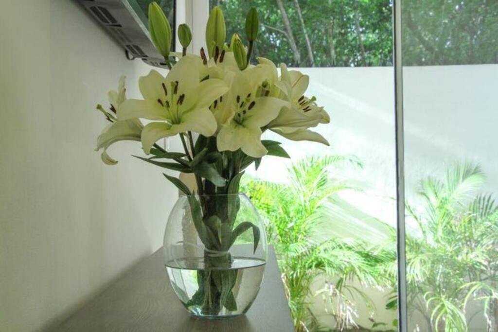 Apartment Aqua De Sal 01 Private Casa At Aldea Zama Sleeps 5