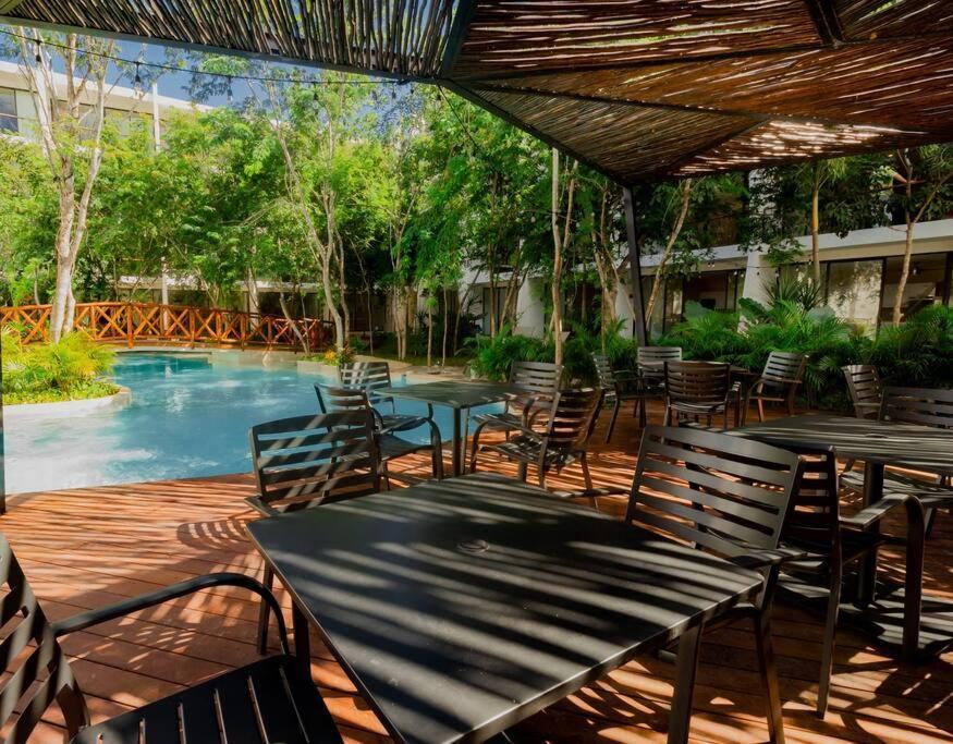 Apartment Dk39 Vpn Access *stunning Sunset *pool *gym *yoga Tulum