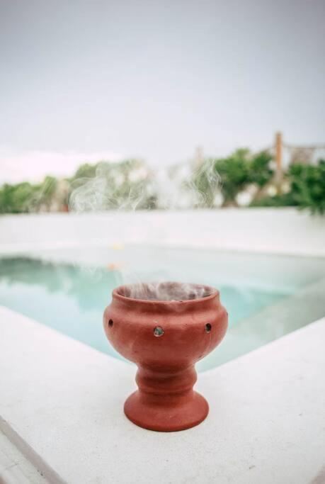 Romantic Roof Penthouse! Bbq And Priv. Pool Apartment Tulum