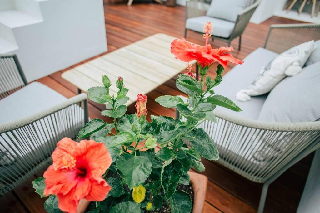 Apartment Romantic Roof Penthouse! Bbq And Priv. Pool *