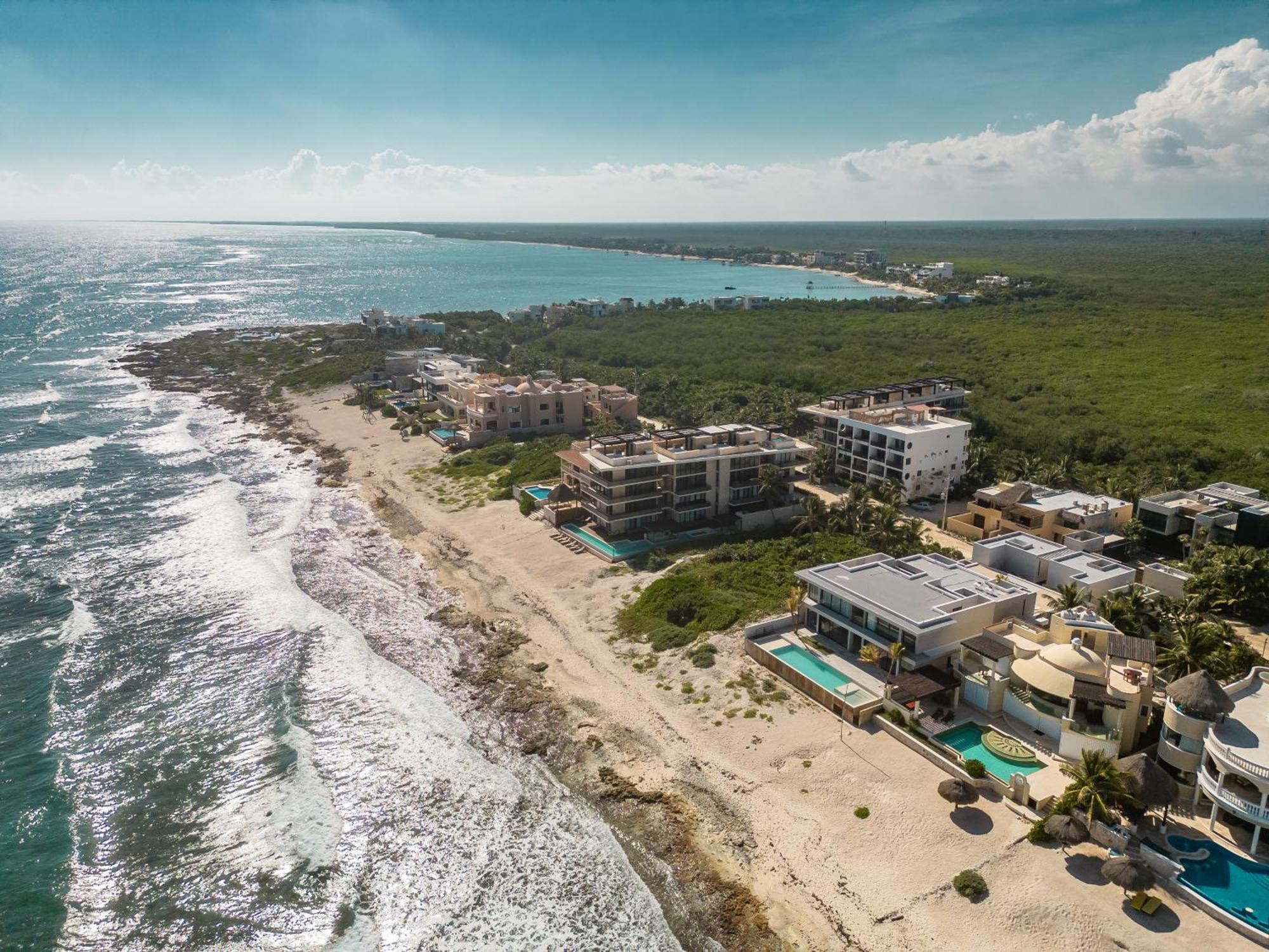 Cozy Jungle View 1br Apartment *