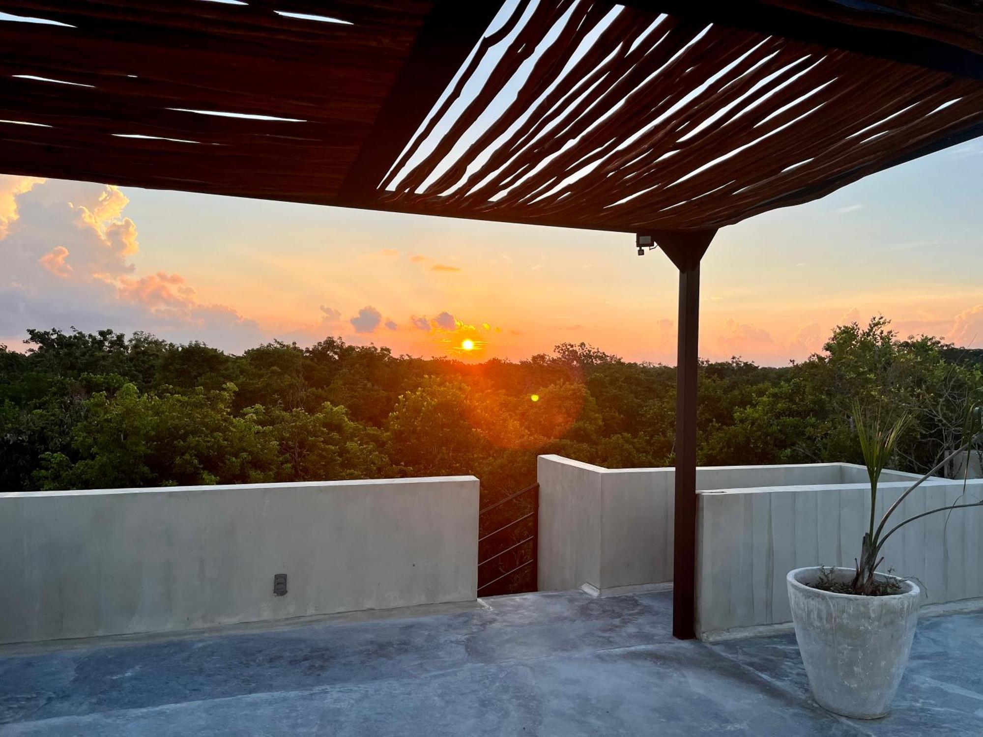 Apartment Jungle Gem With Swim-up Pool & Easy Paved Access