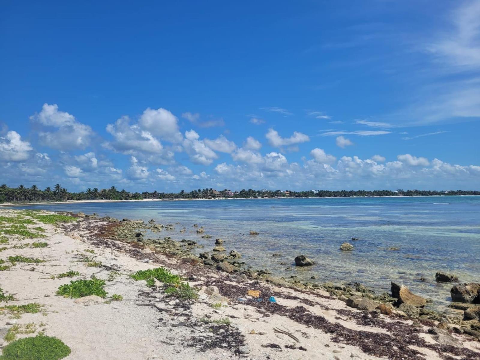 1br Jungle View Access * Tulum