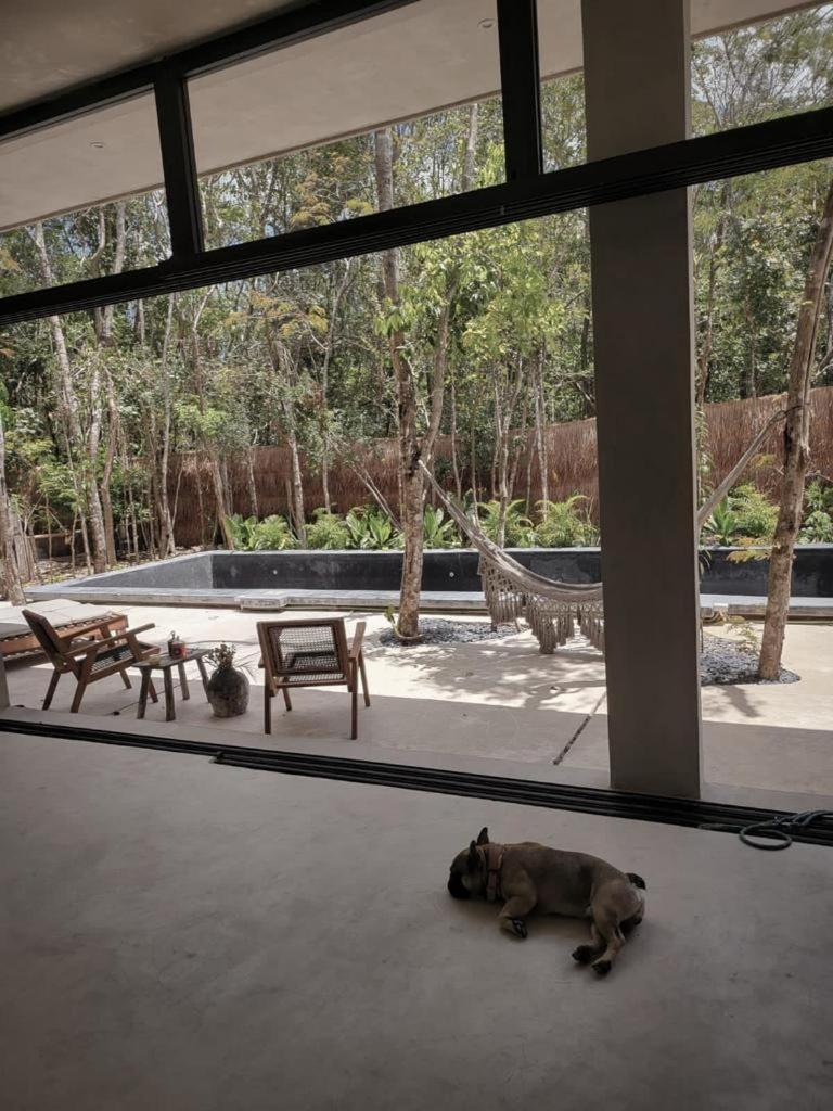 Villa Hermosa Casa Con Piscina Privada
