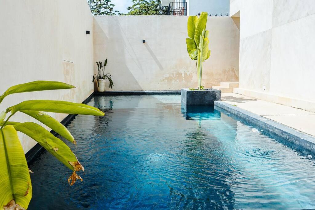 Apartment Zen 09 - La Veleta Jungle View *wifi, 2 Pools*