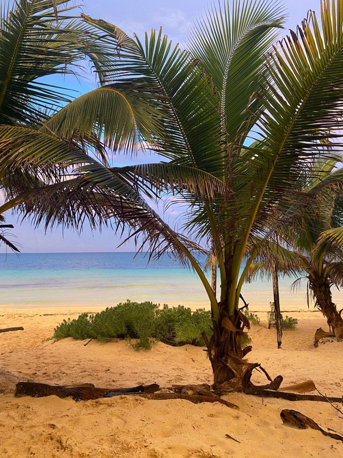 Playa Lakin-ha Beachfront Cabins Campsite *