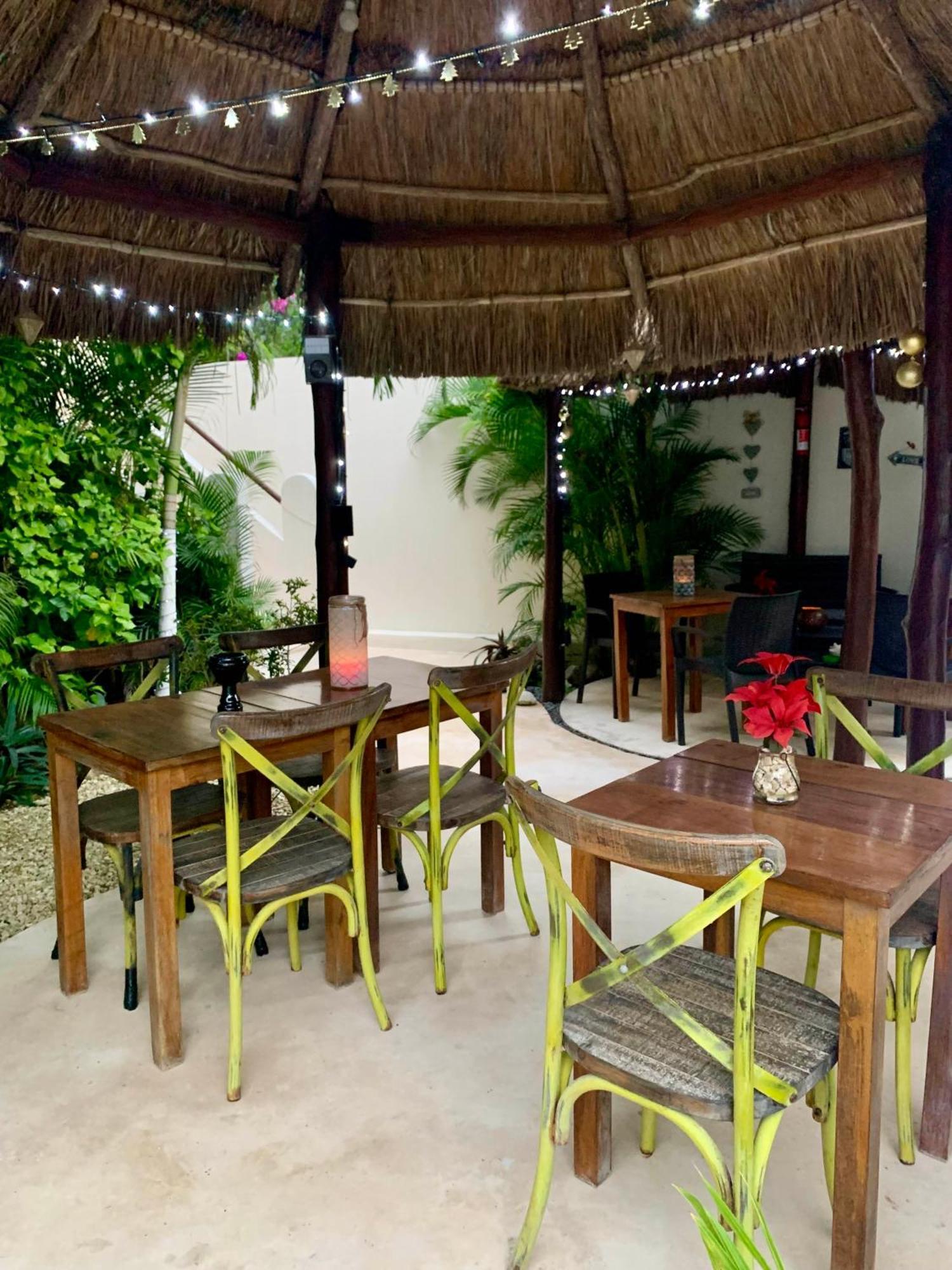 Tua Tulum Apartments Large And Comfortable With Swimming Pool *