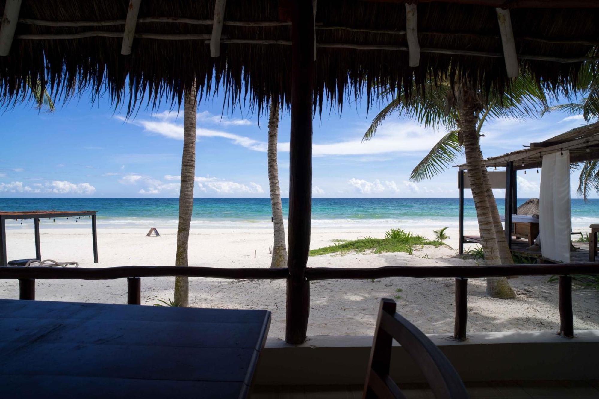 Bt Live Located At The Party Zone 4* Tulum