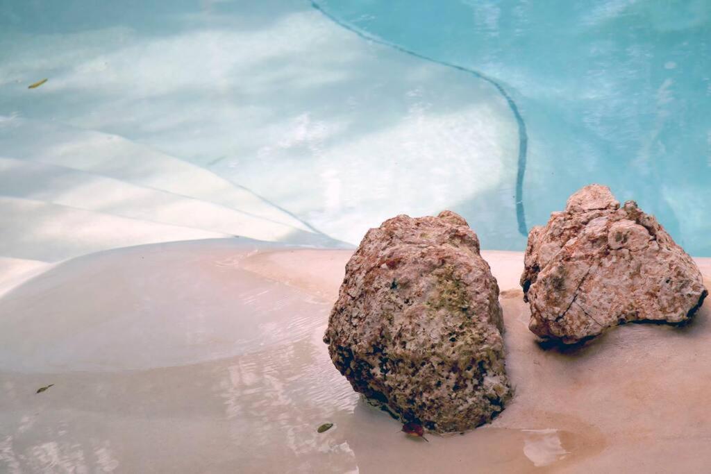 Holiday home Zen Canto Tuuch :: May The Jungle Be With You *