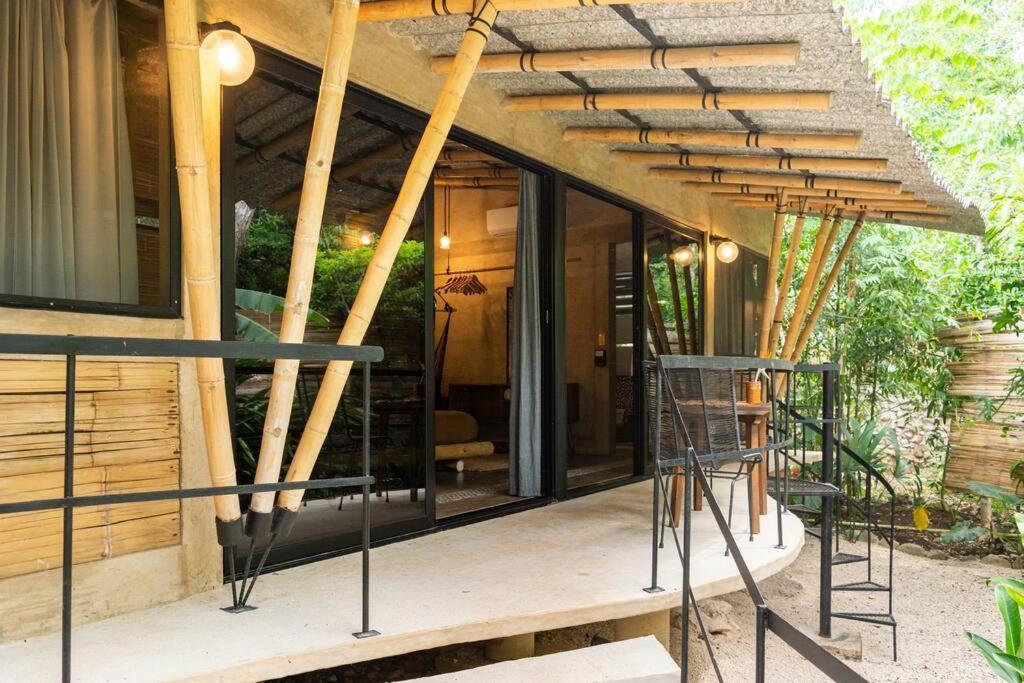 Zen Canto Tuuch :: May The Jungle Be With You