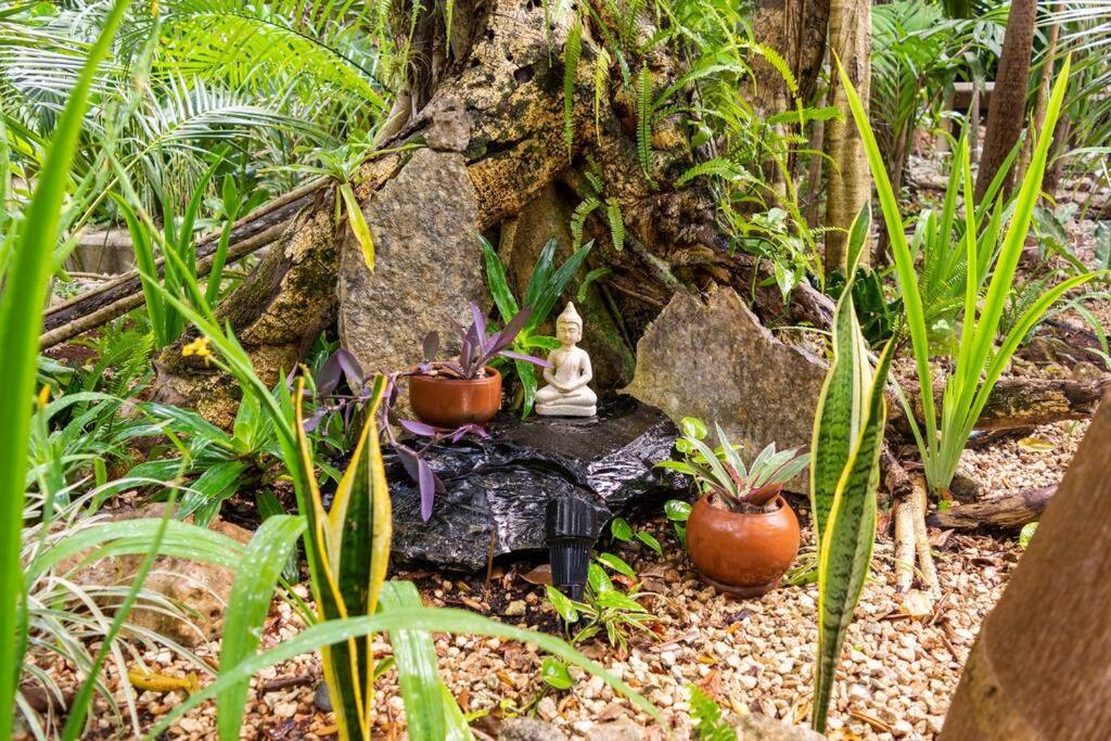 Zen Canto Tuuch :: May The Jungle Be With You *