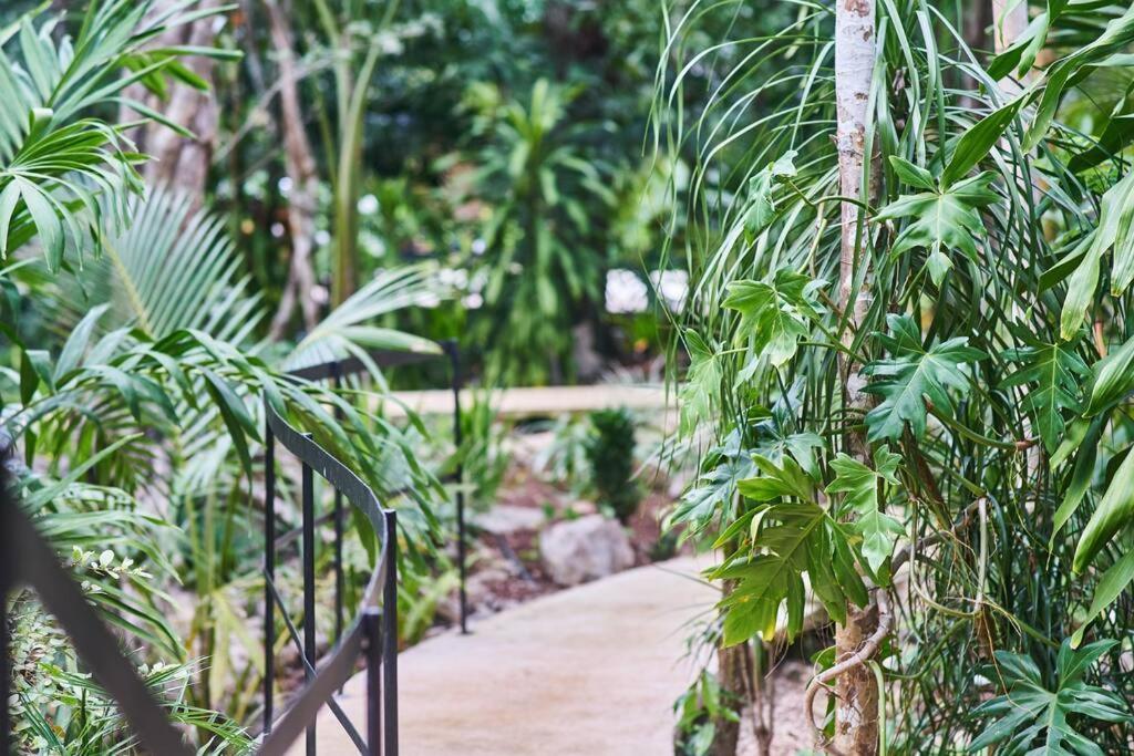 Zen Canto Tuuch :: May The Jungle Be With You *