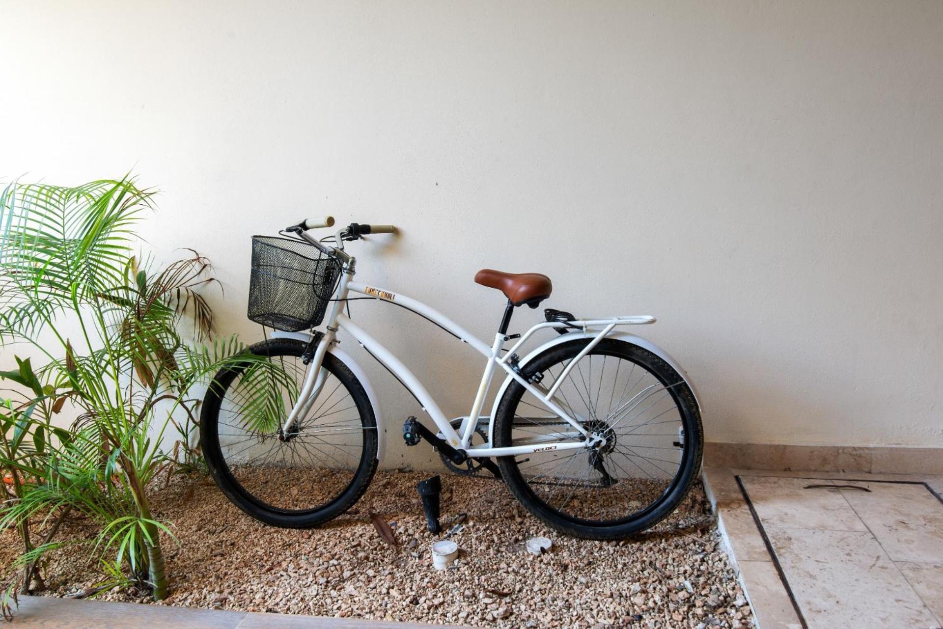 Luxurious Penthouse With Jungle View & Private Pool