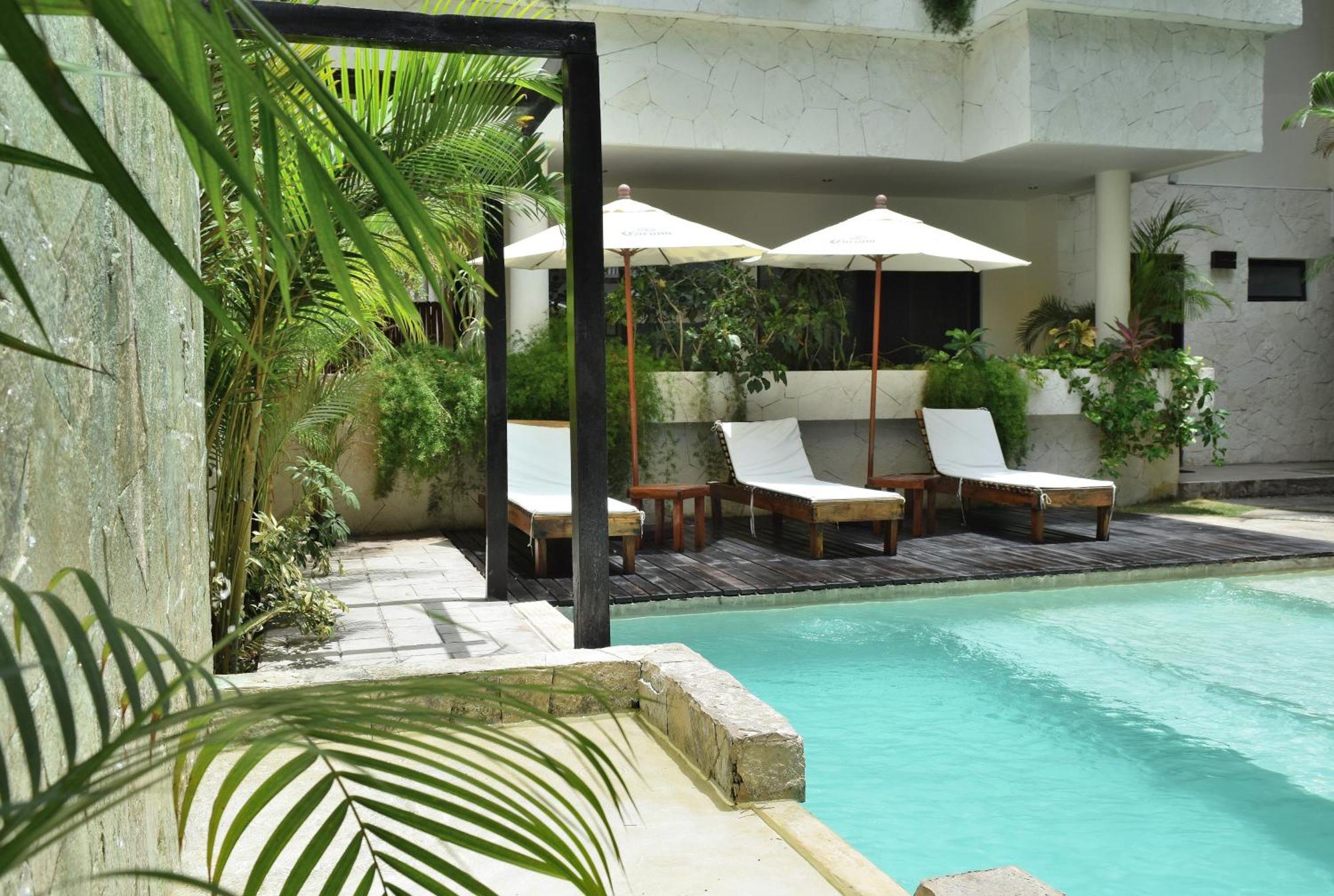 Che & Bar Adults Only