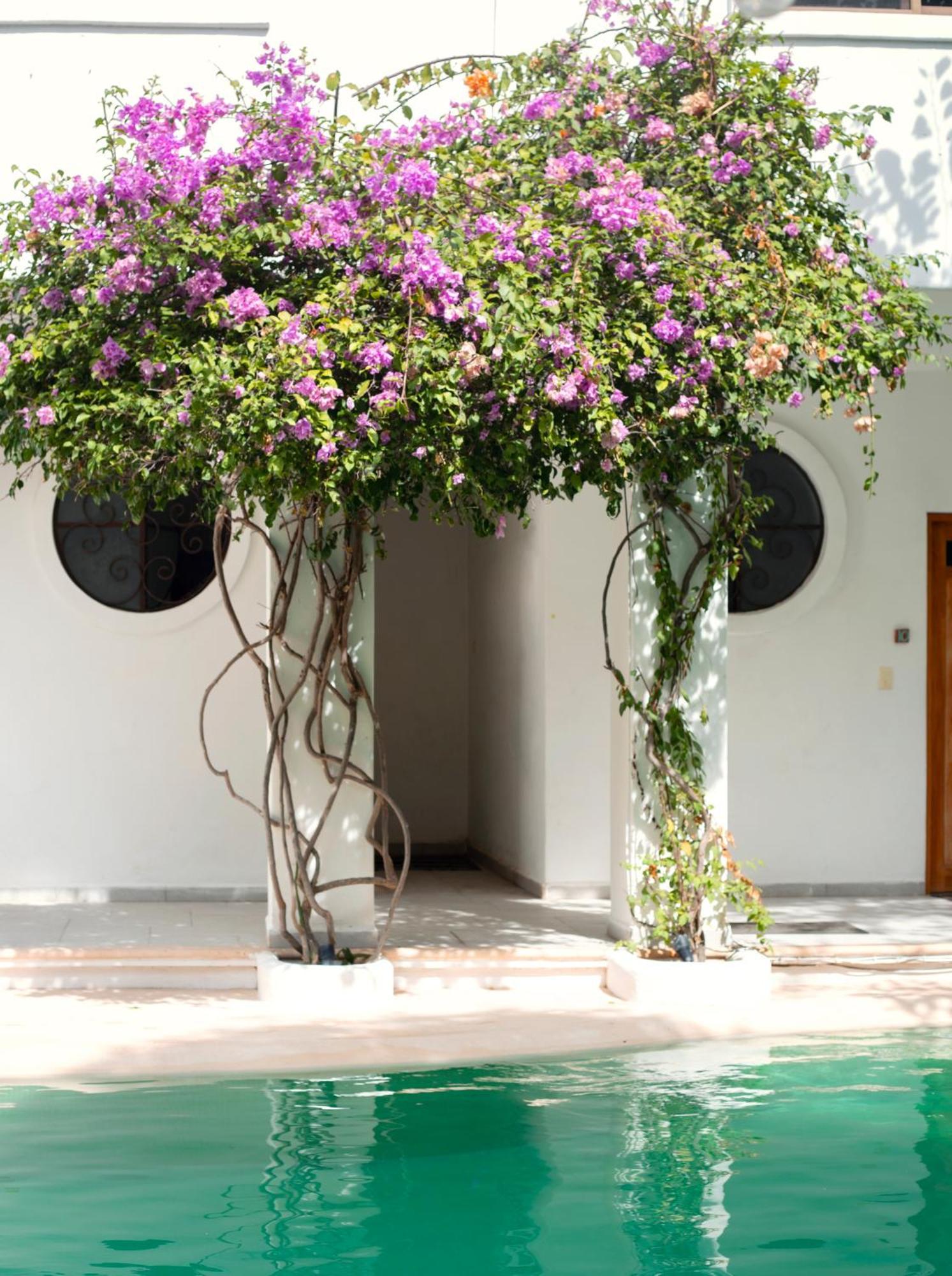 Apartment Sonido Del Mar Boutique & Yoga Loft *