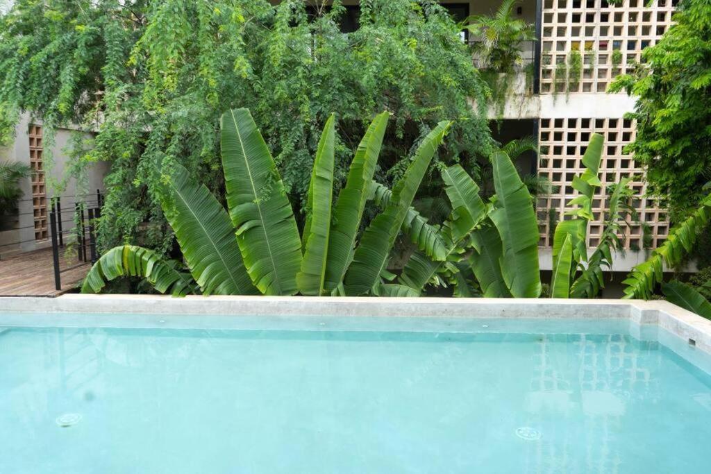 Paraiso Aldea Zama Apartment Tulum