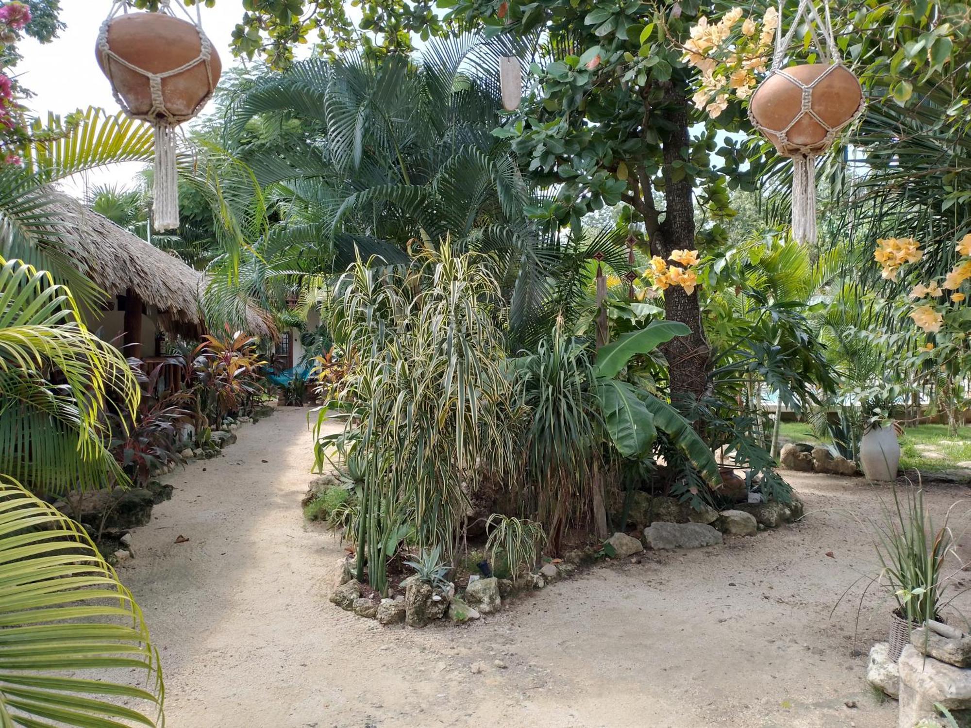 Inn Zamunda Garden View Tulum