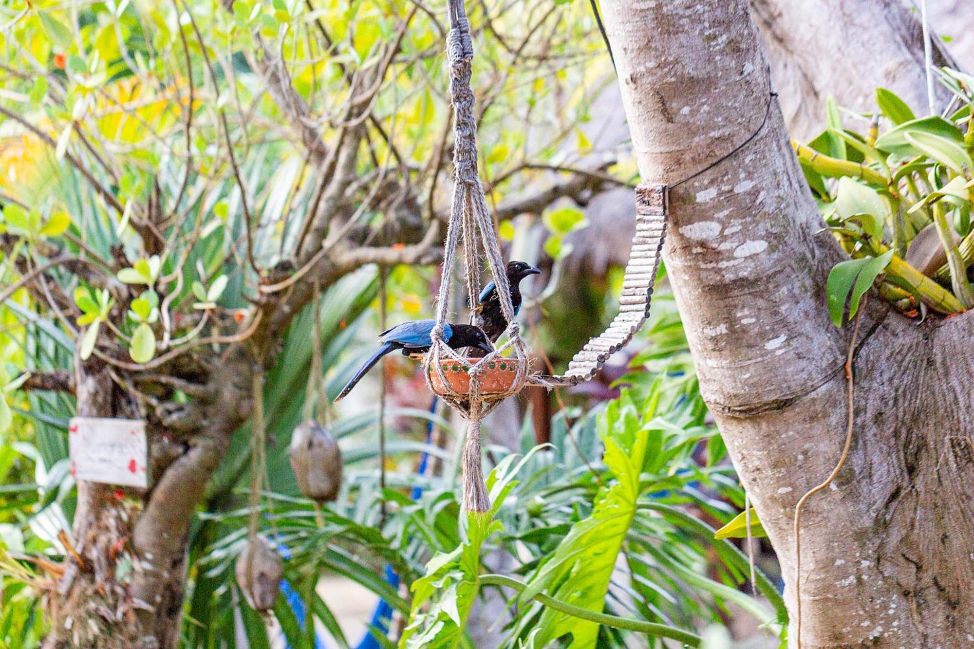 Inn Zamunda Garden View 2*