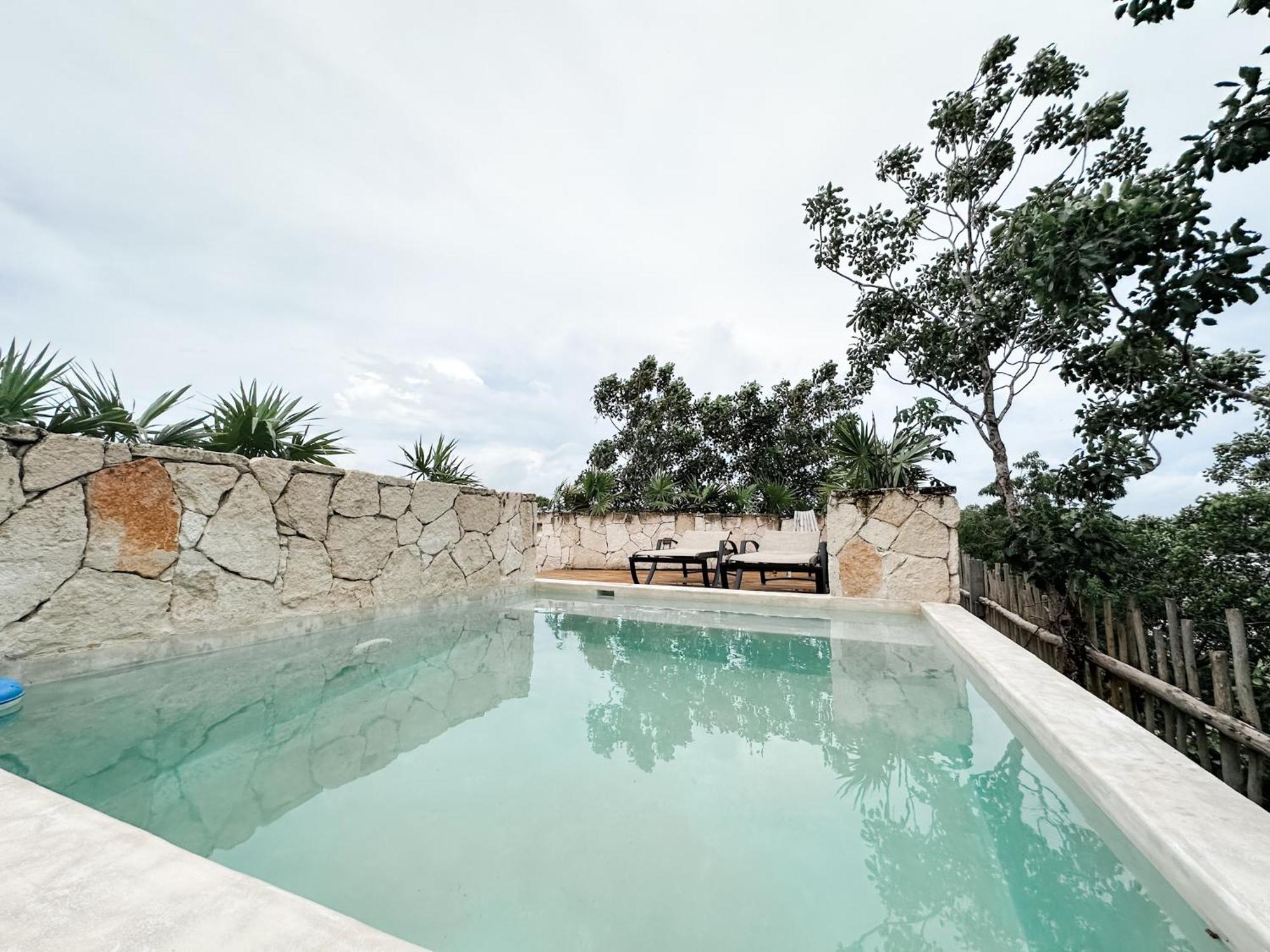 Vida Jungle Boho 14 With Special Fee To Access Bardo *