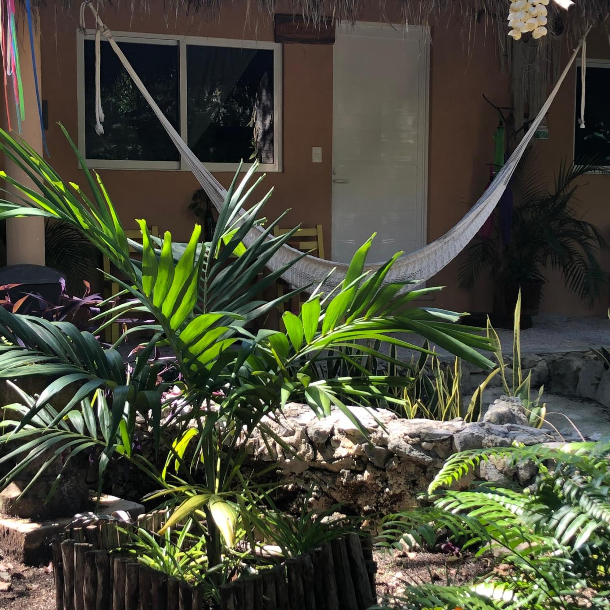 Bed & Breakfast Casa Tzalam Selva Tulum