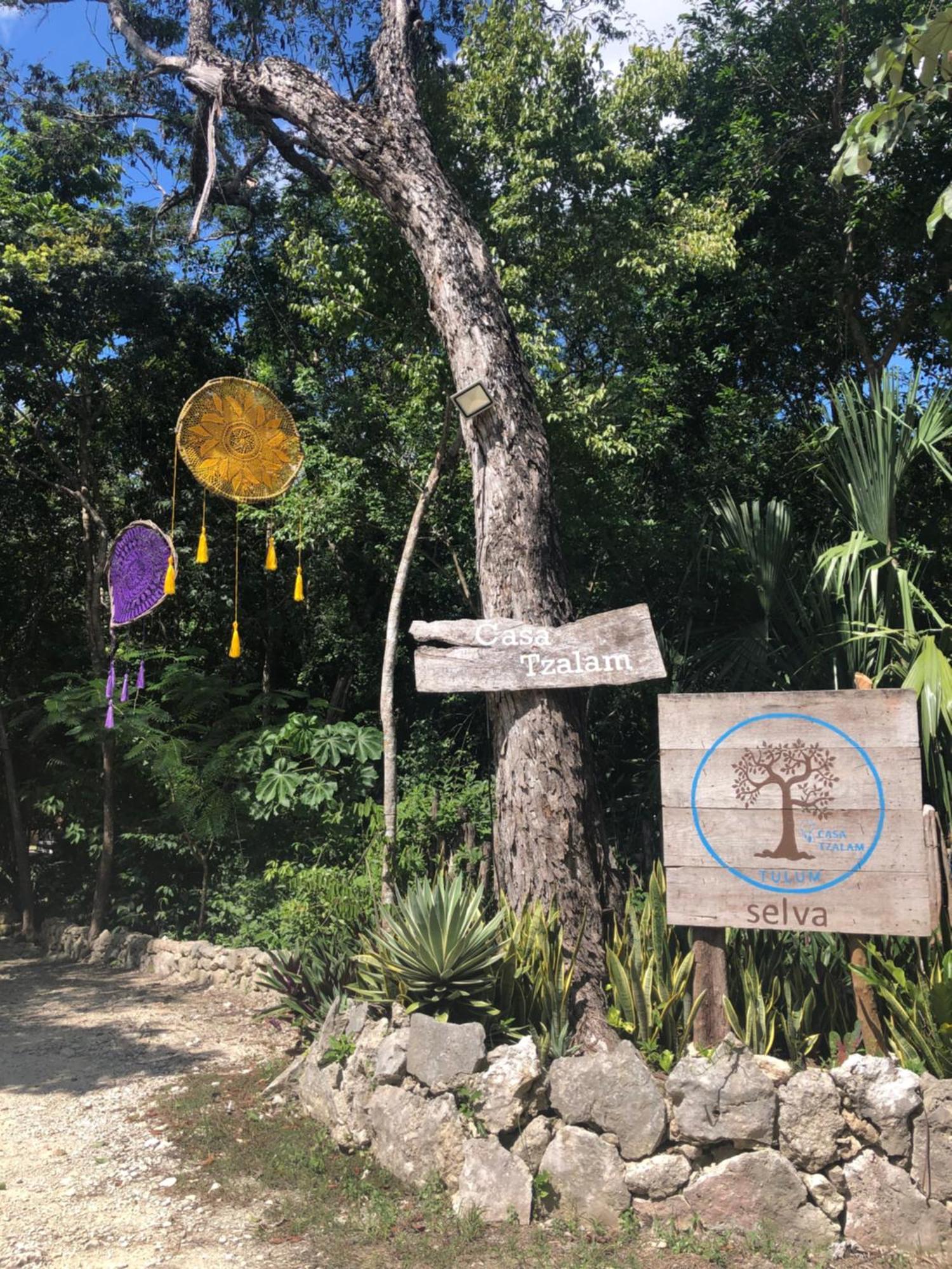 Bed & Breakfast Casa Tzalam Selva 3*