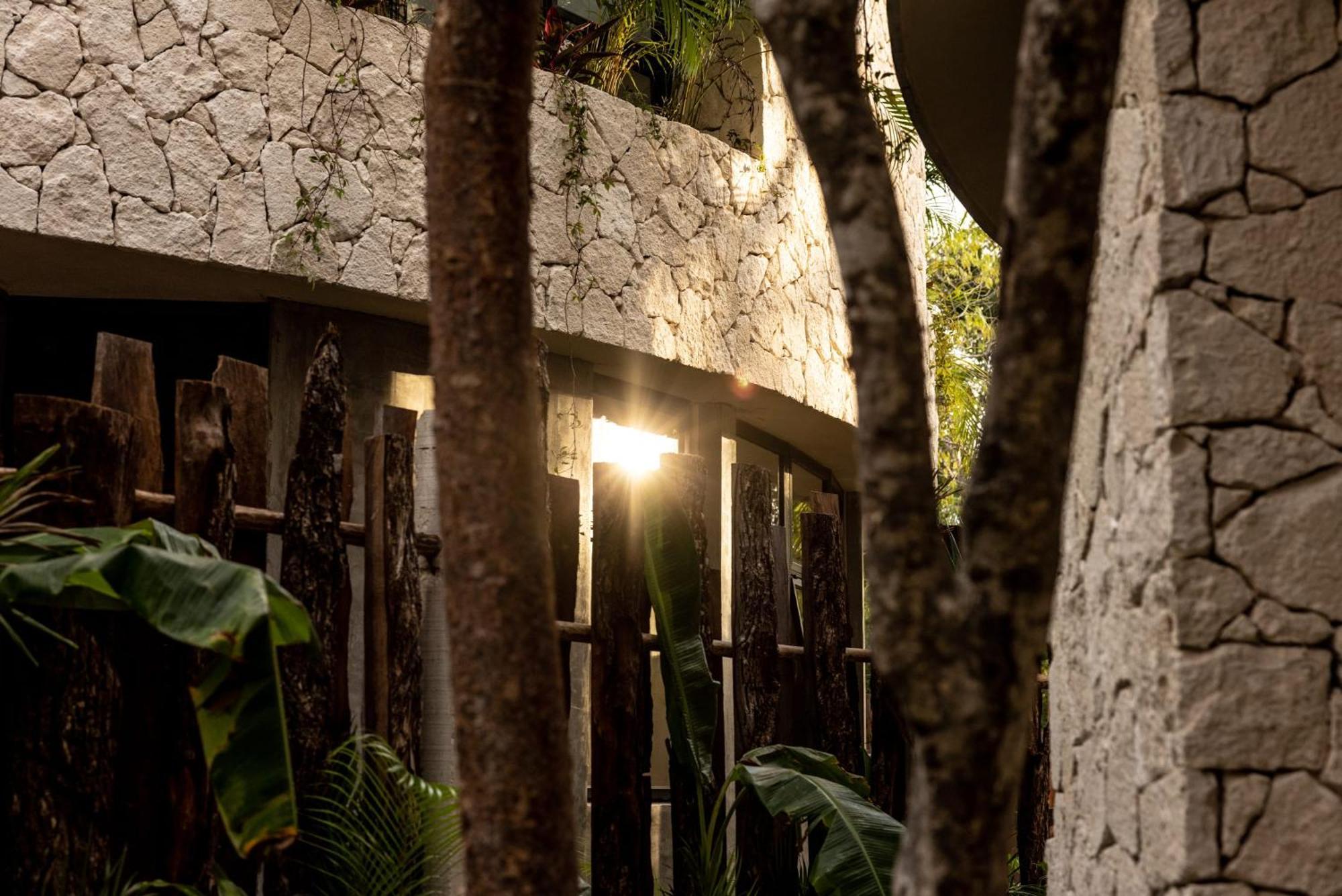 Jungle Haven With Private Pool & Concierge Hotel Tulum