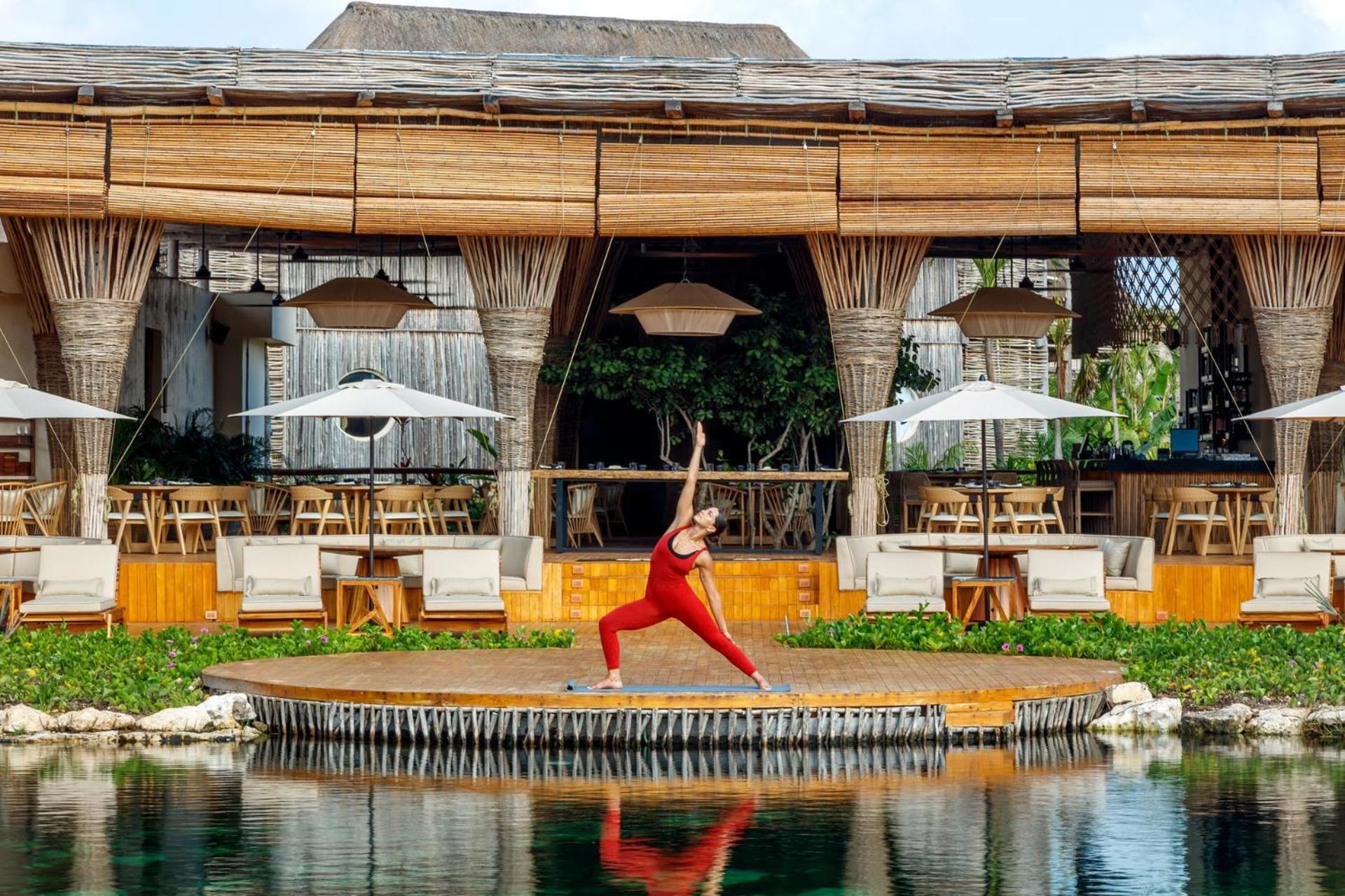 Shibari - Restaurant & Cenote Club