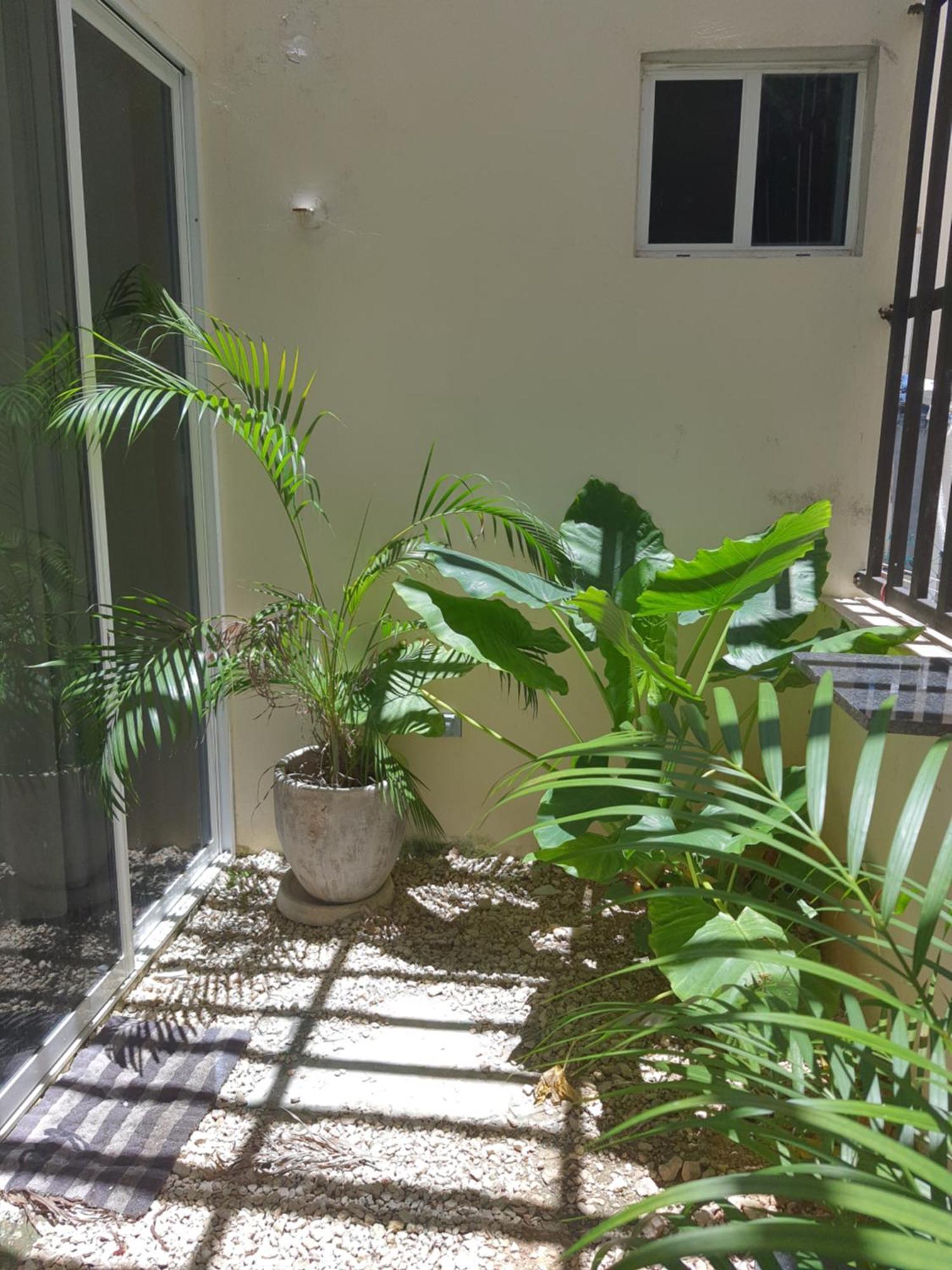Casa Girasol Apartamento Tulum