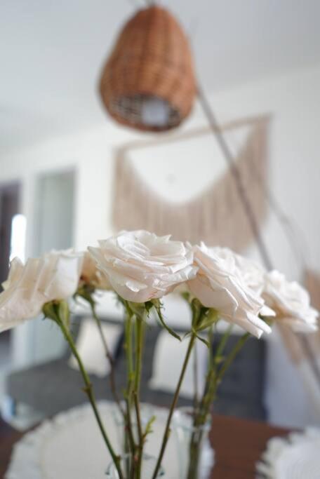 Departamento Eco-chic A 10 Min Del Centro Apartment Tulum