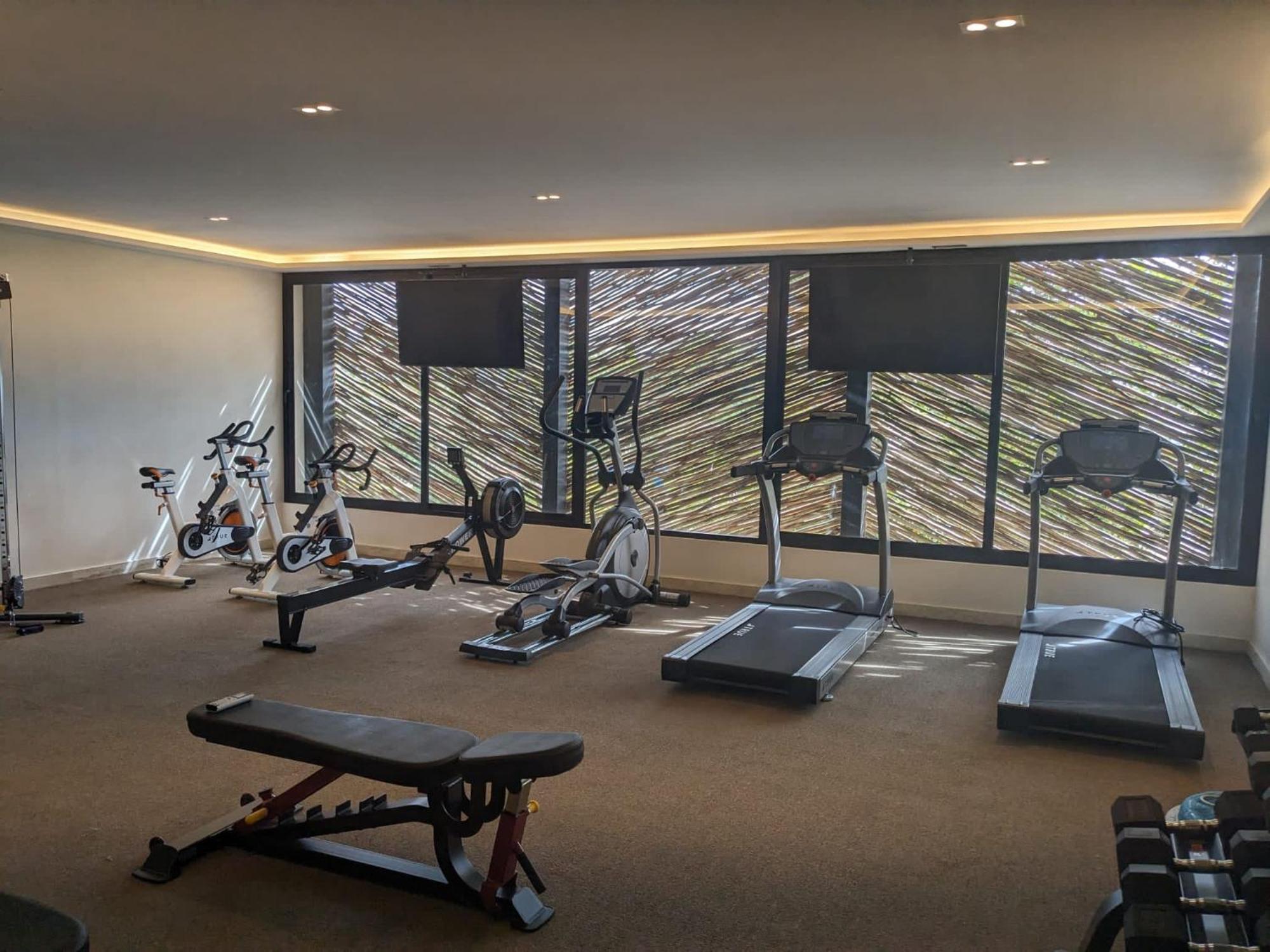 New Luxury Ph With Private Terrace & Plunge Pool Apartment