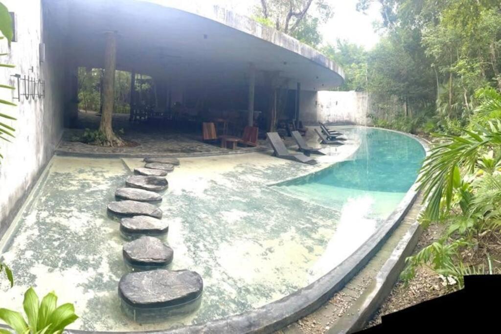 Apartment Tribu 202