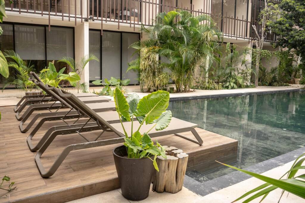 New 1 Bedroom-tulum- Wterrace Apartment