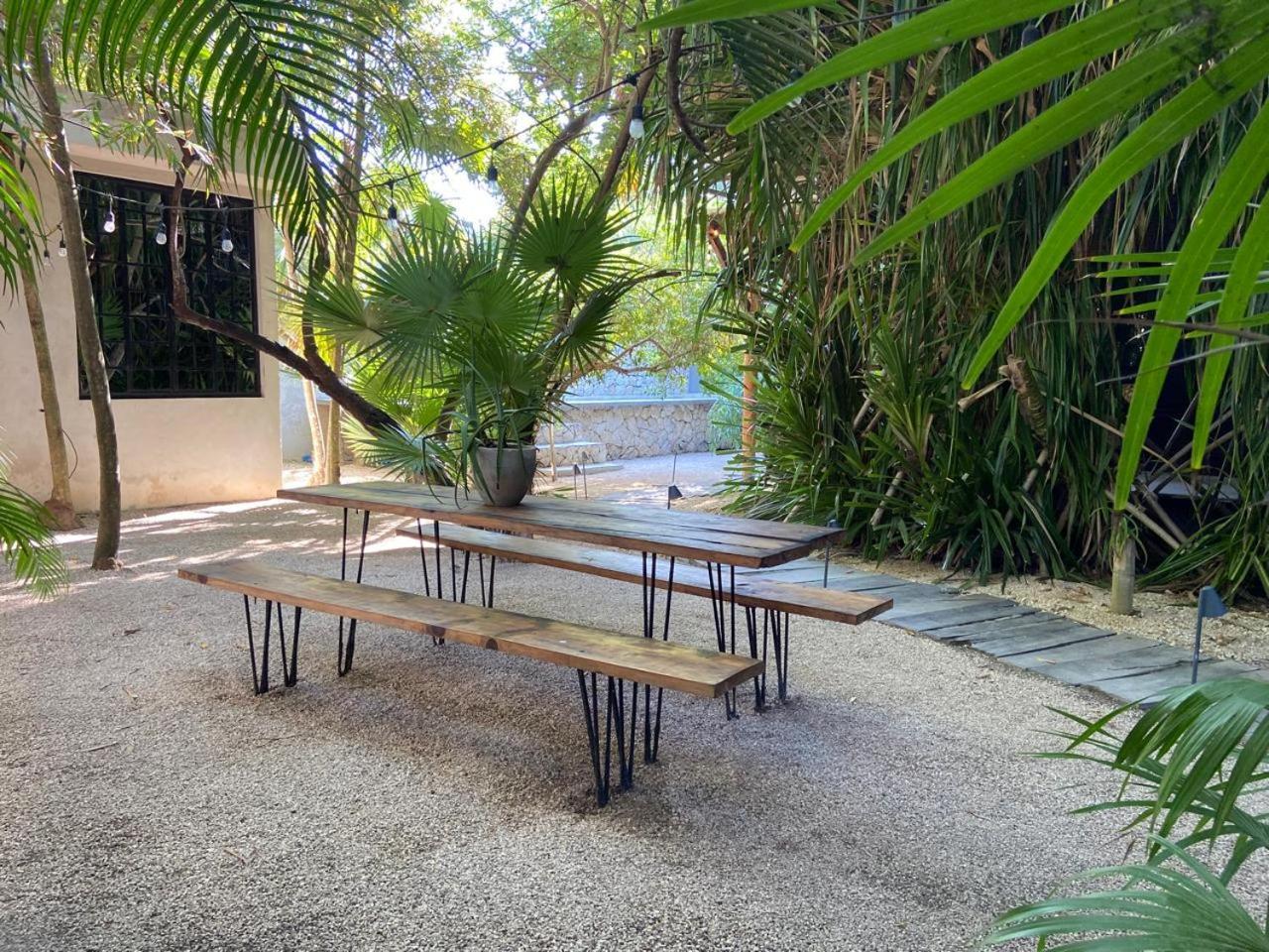 Amor Rooms Hotel Tulum