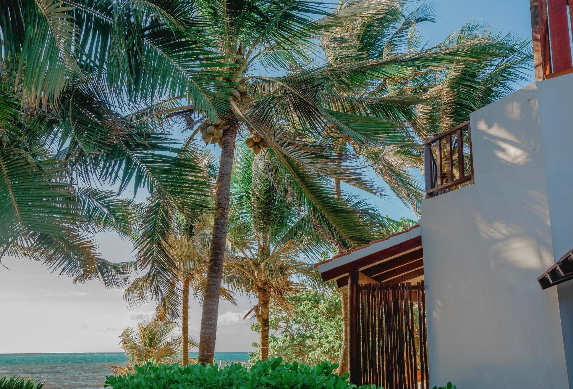 Casa Colibri Tankah 3* Tulum