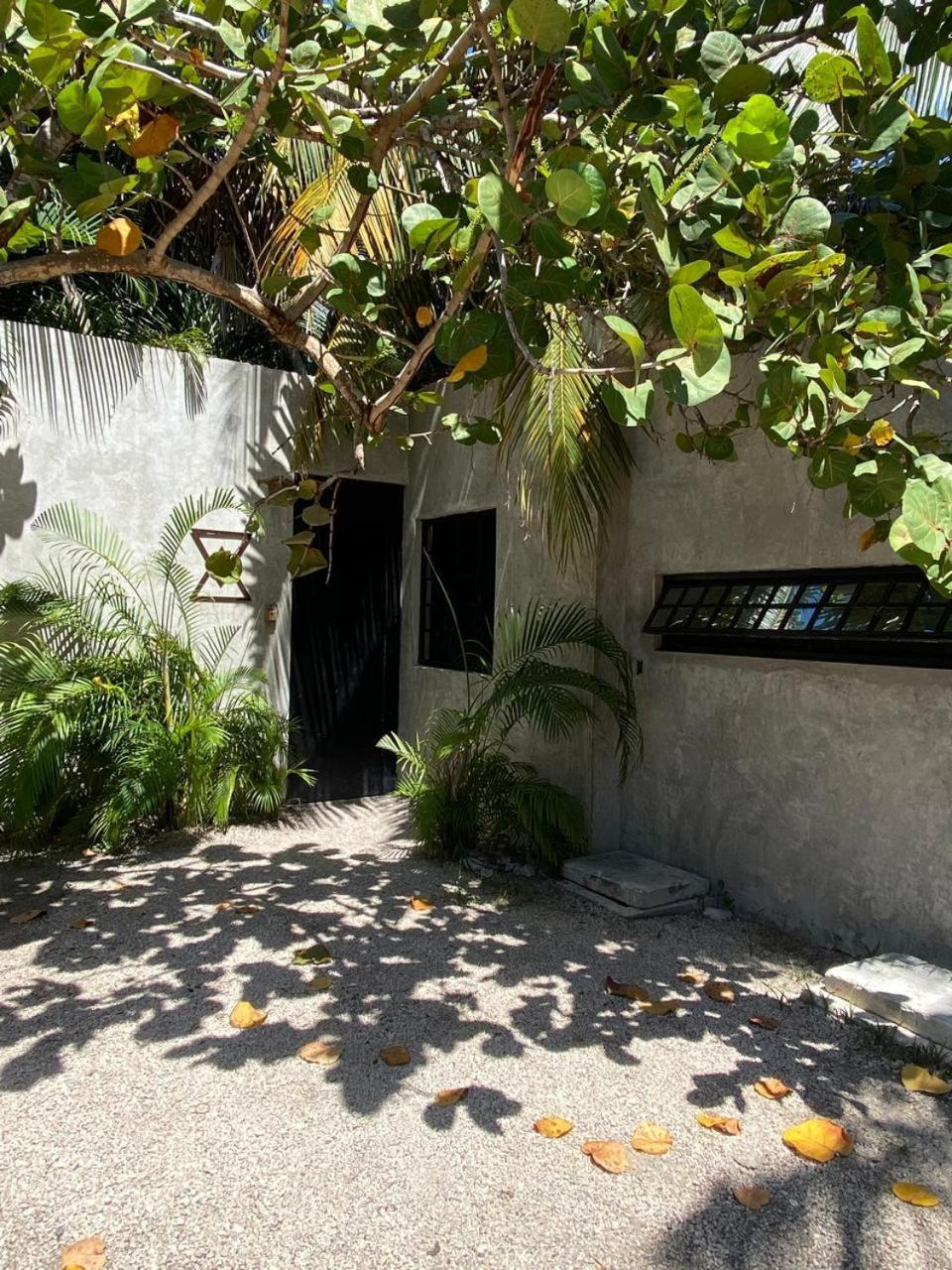 Amor Rooms Hotel Tulum