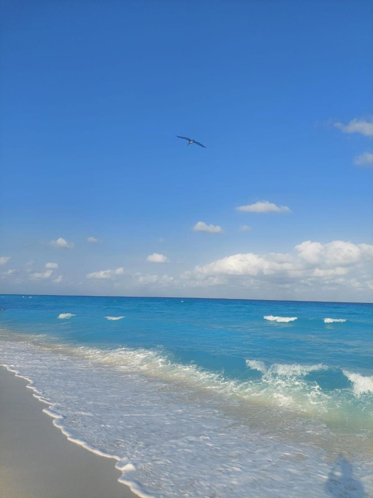Departamento En Riviera Maya *