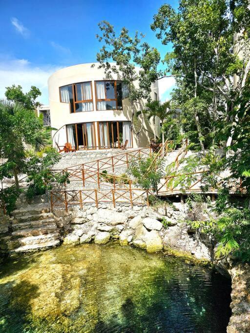 Apartment Amazing Luxury Studiojungle Enviroment With Cenote