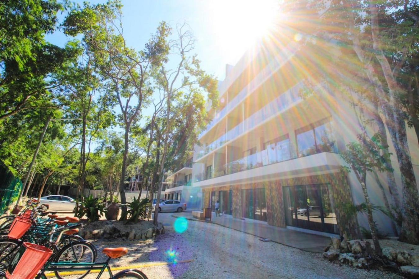 Luxurious Studio Ph With Exclusive Pool Downtown