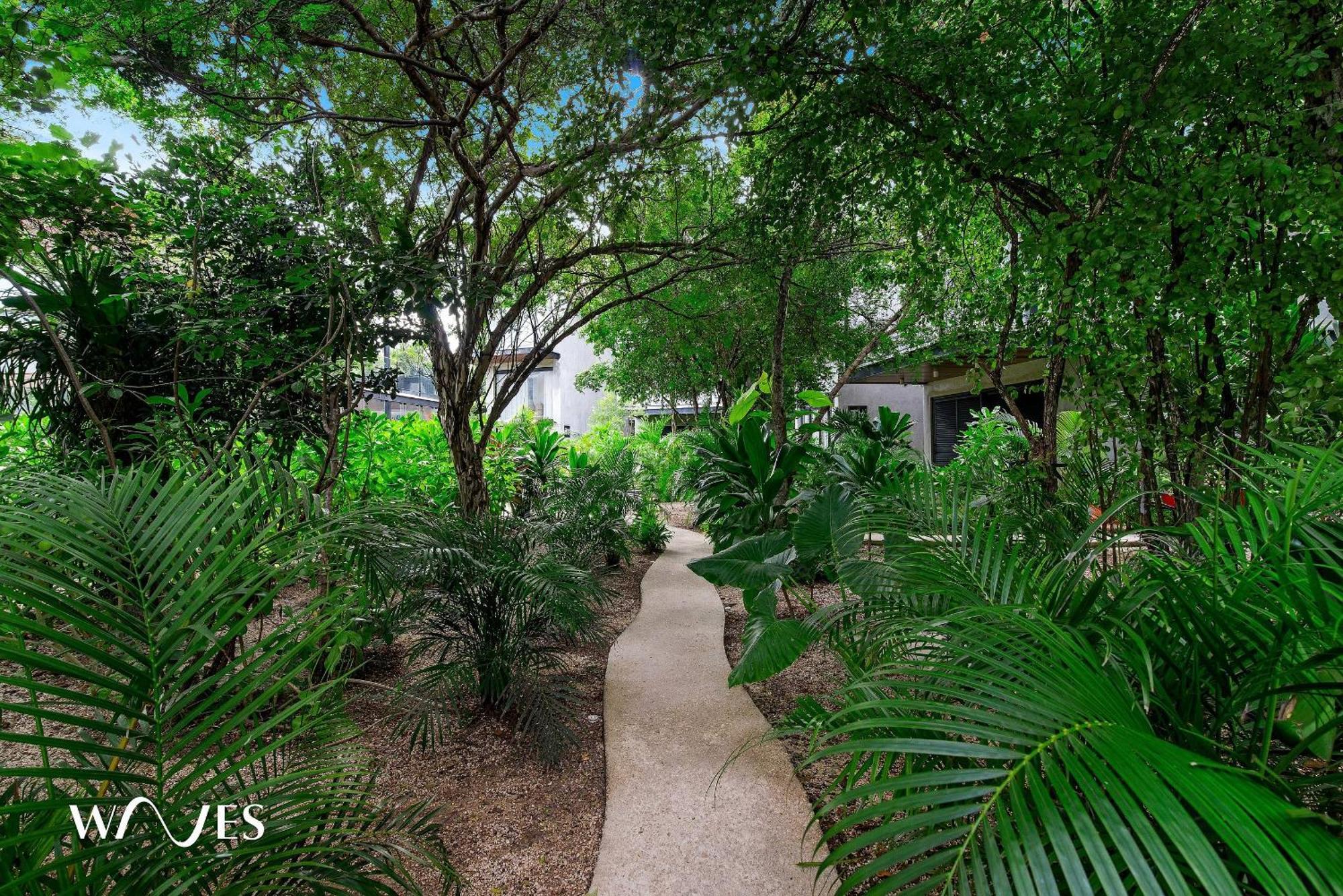 Estudio | Excelente Iluminacion |cerca De La Playa