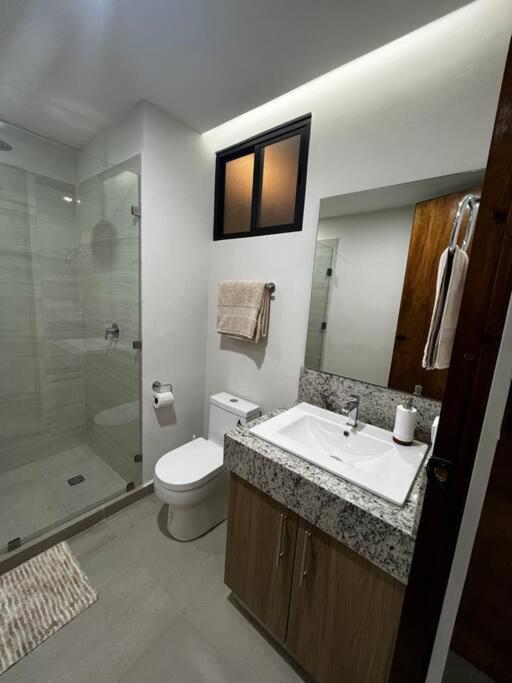 Solum Luxury Apartment