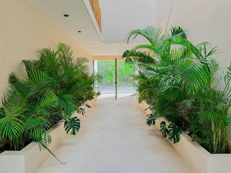 Increible Y Acogedor Estudio-agata 4 By Sandy Powerful Apartment *