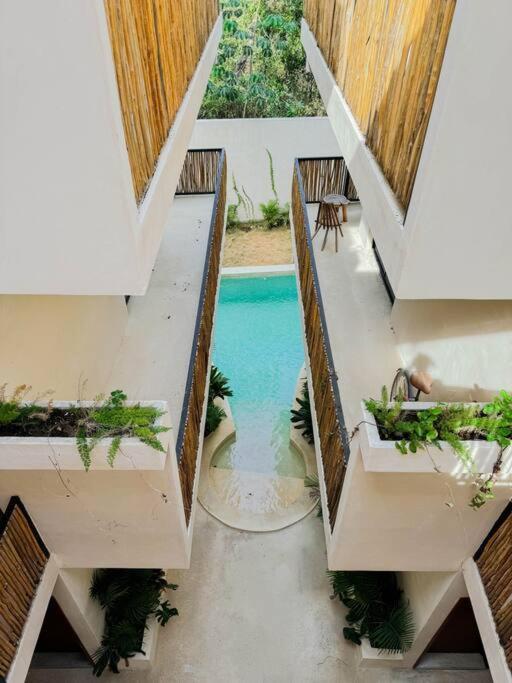 Apartment Increible Y Acogedor Estudio-agata 4 By Sandy Powerful Tulum