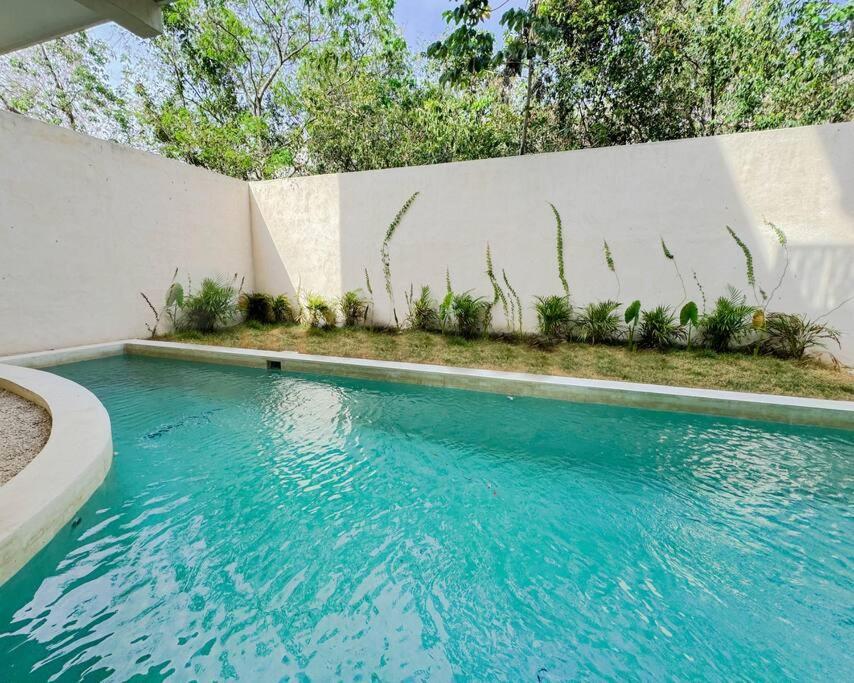 Apartment Increible Y Acogedor Estudio-agata 4 By Sandy Powerful Tulum