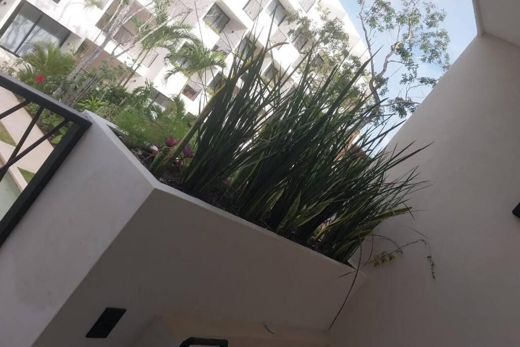 Apartment New Xibalba, Private Jacuzzi & Terrace Tulum