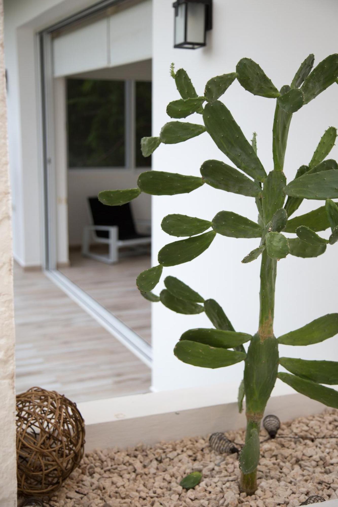 Luxury Private , Private Pool, Private Garden, Jacuzzi, 24hours Security Pousada Tulum