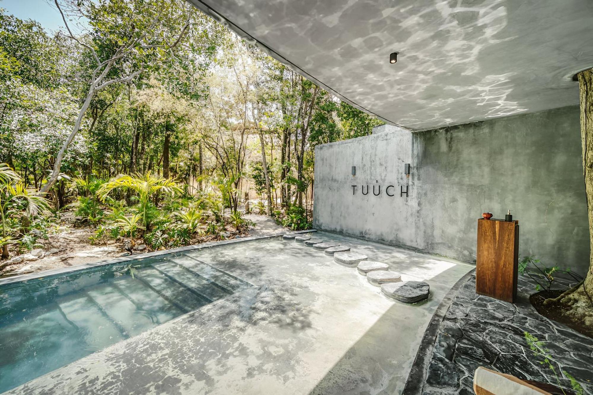 Exclusive 1br In Jungle Private Pool Apartment