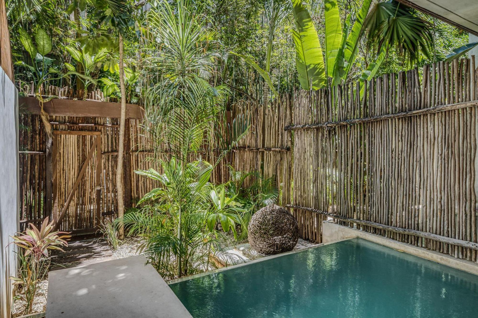 Apartment Exclusive 1br In Jungle Private Pool